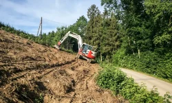 Forstmulchen - Baggermulchkopf